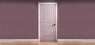 Moulded Skin Doors Manufacturers